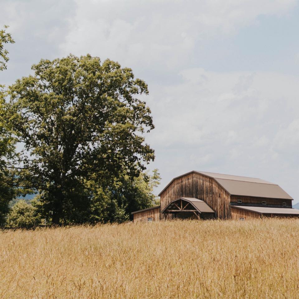 Daydream Venue wedding venue Ridgeley West Virginia near Cumberland Maryland